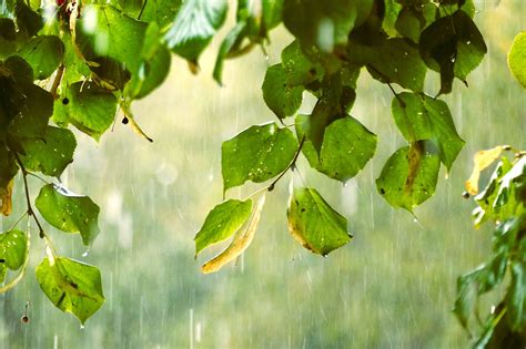 下大雨圖片|超过 70000 张关于“大雨”和“雨”的免费图片